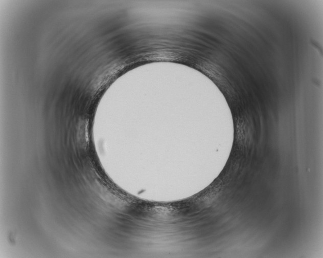 X0000099510302200806051153