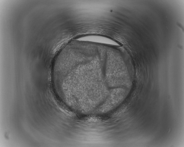 X0000099510303200806051153