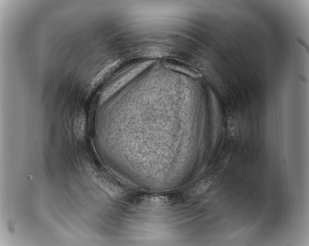 X0000099510304200806051153