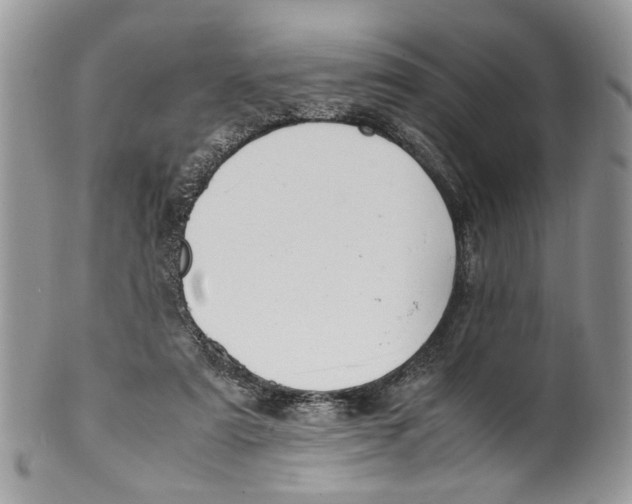 X0000099510307200806051153