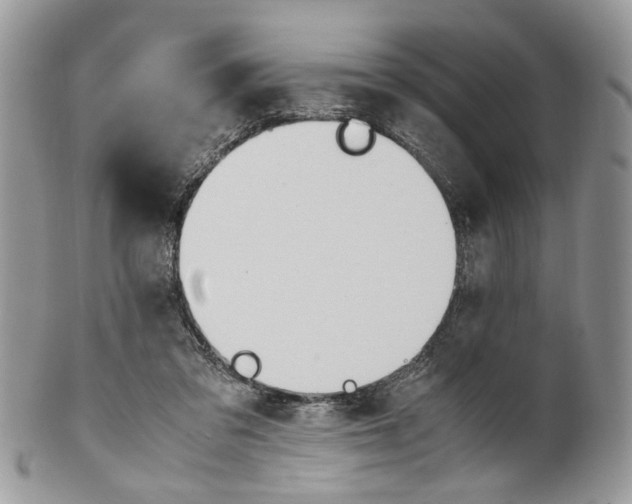 X0000099510309200806051153