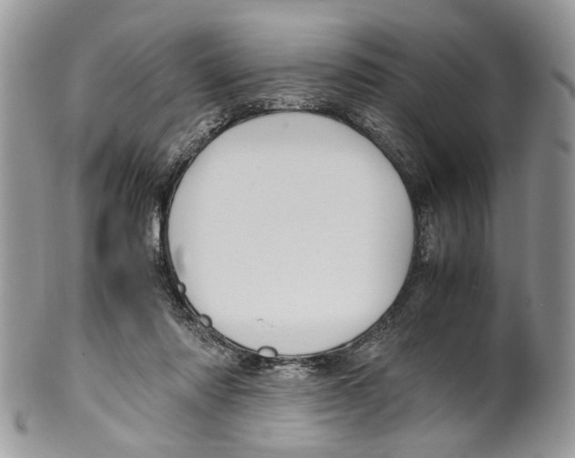 X0000099510310200806051153