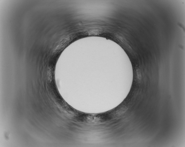 X0000099510311200806051153