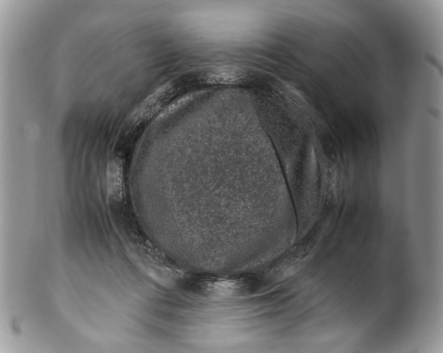 X0000099510312200806051153