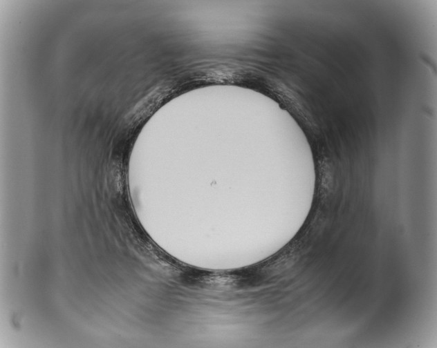 X0000099510313200806051153