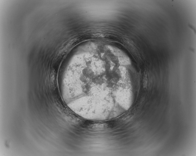 X0000099510314200806051153