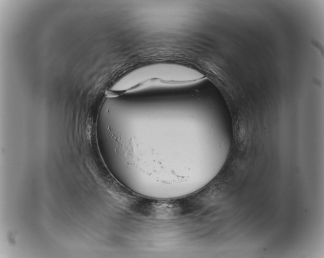 X0000099510315200806051153