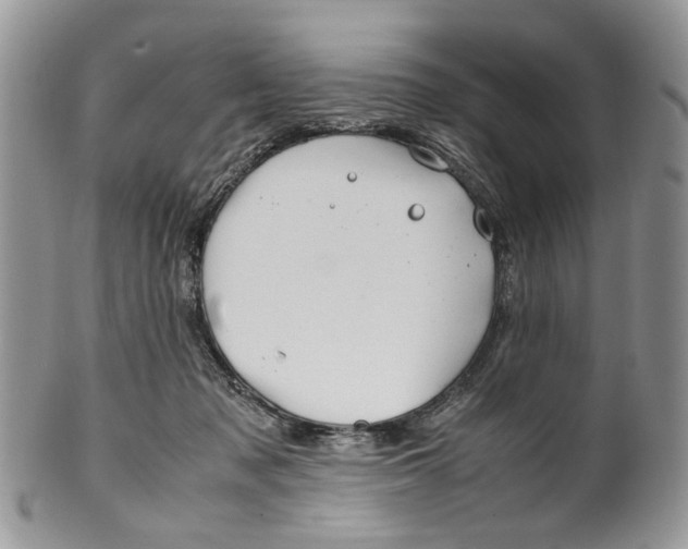 X0000099510317200806051153