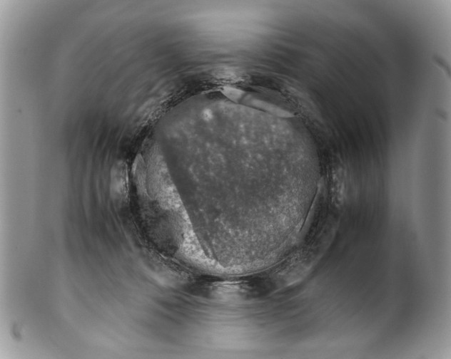 X0000099510320200806051153