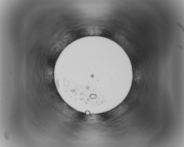 X0000099510321200806051153