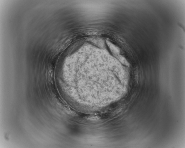 X0000099510322200806051153