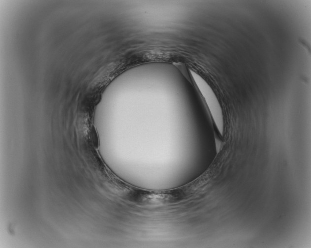 X0000099510323200806051153