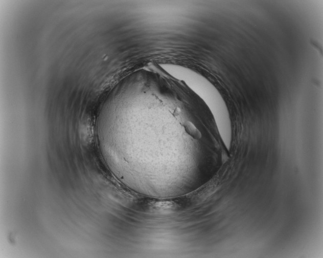 X0000099510324200806051153