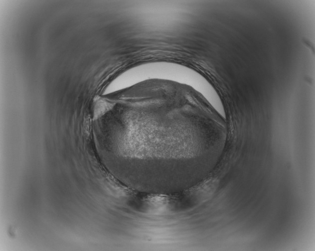 X0000099510325200806051153