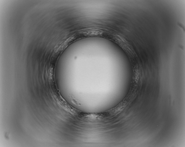 X0000099510326200806051153