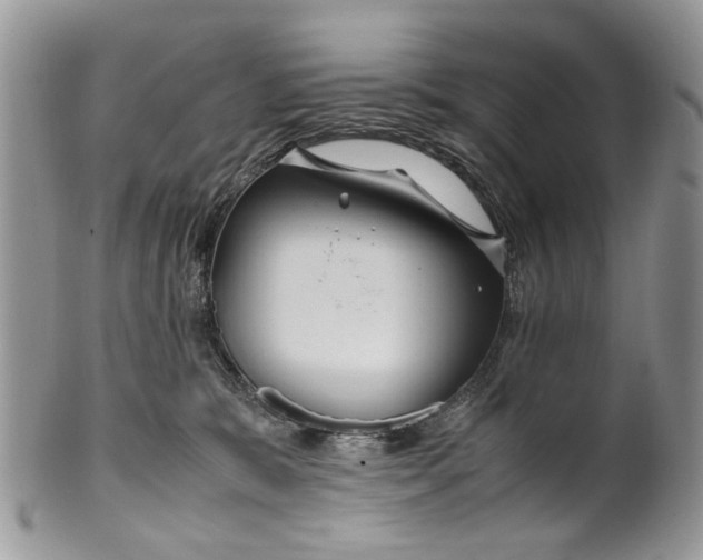 X0000099510327200806051153