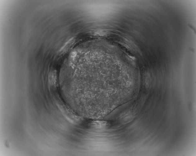 X0000099510328200806051153