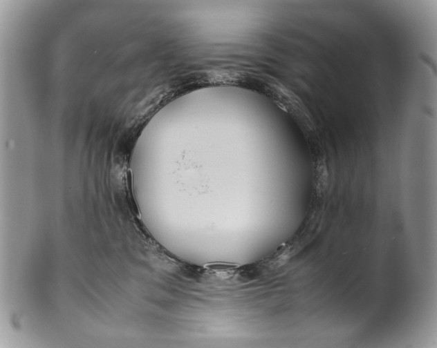 X0000099510329200806051153