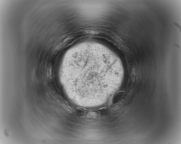 X0000099510330200806051153