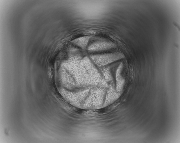 X0000099510331200806051153