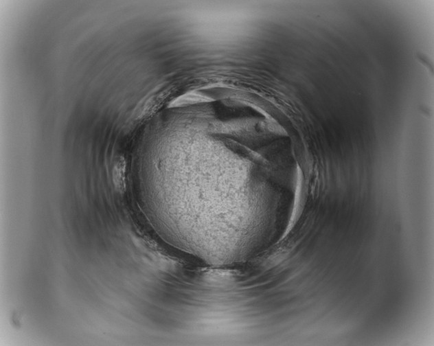 X0000099510332200806051153