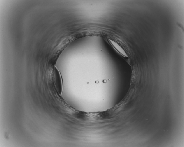 X0000099510333200806051153