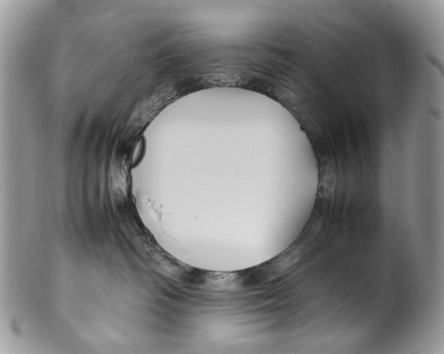 X0000099510334200806051153