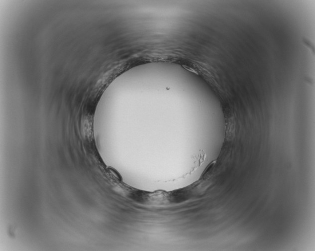 X0000099510335200806051153