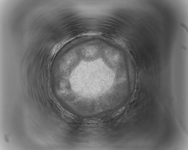 X0000099510337200806051152