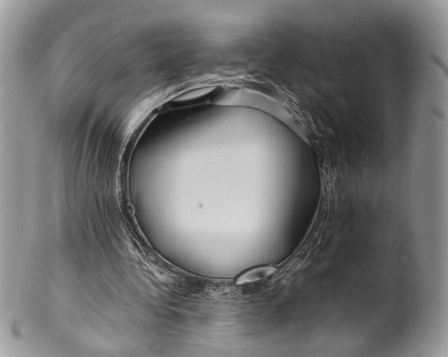 X0000099510340200806051152