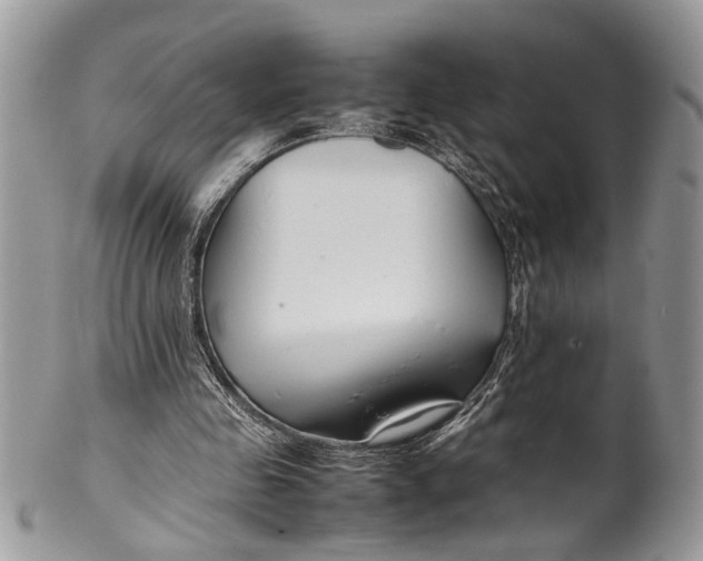 X0000099510341200806051152