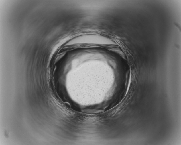 X0000099510342200806051152