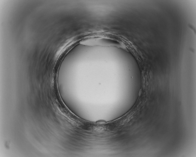 X0000099510344200806051152