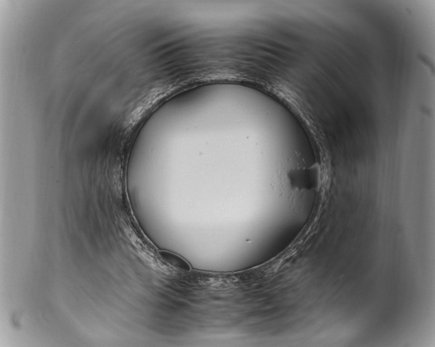 X0000099510345200806051152