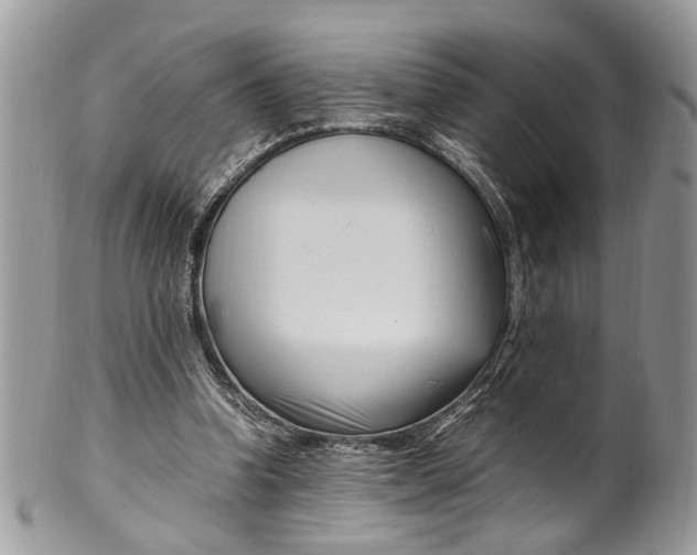 X0000099510346200806051152