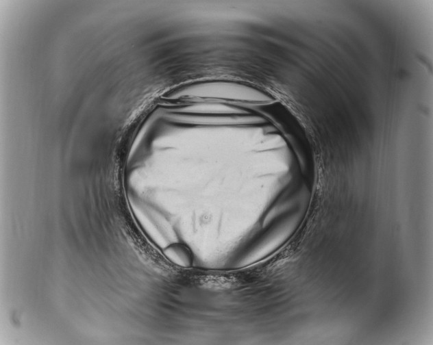 X0000099510347200806051152