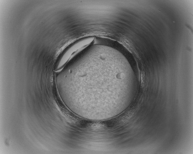 X0000099510348200806051152