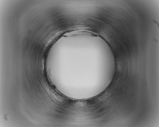 X0000099510350200806051152