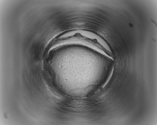 X0000099510351200806051152