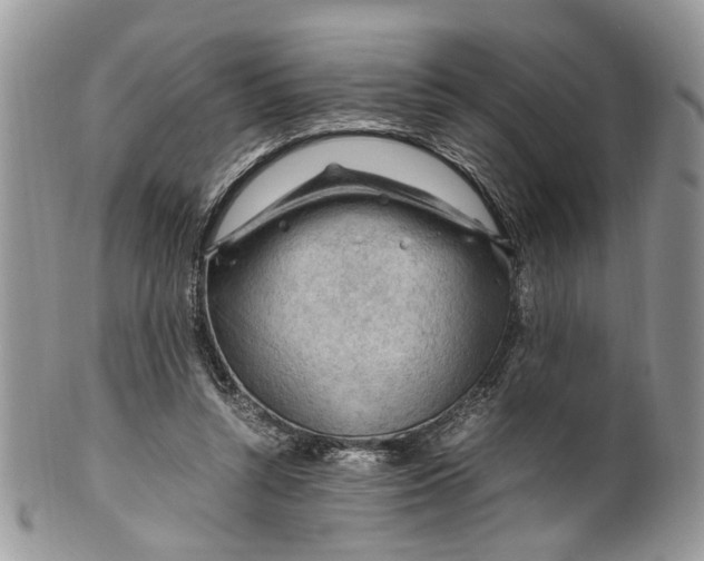 X0000099510352200806051152