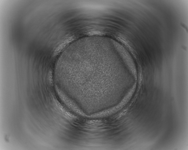 X0000099510353200806051152