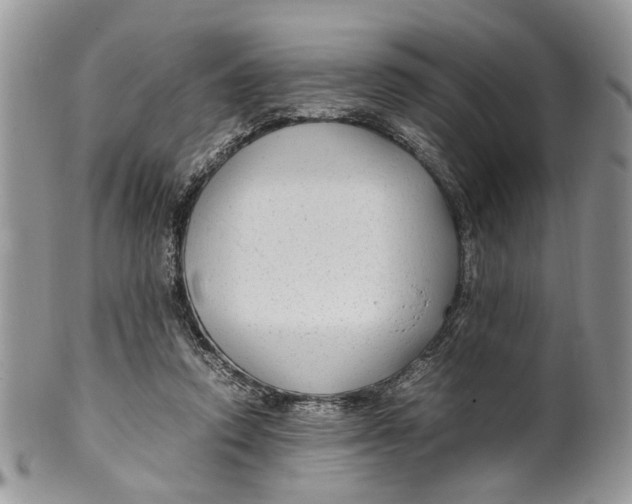 X0000099510354200806051152