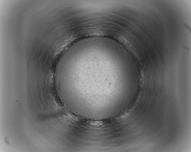 X0000099510355200806051152