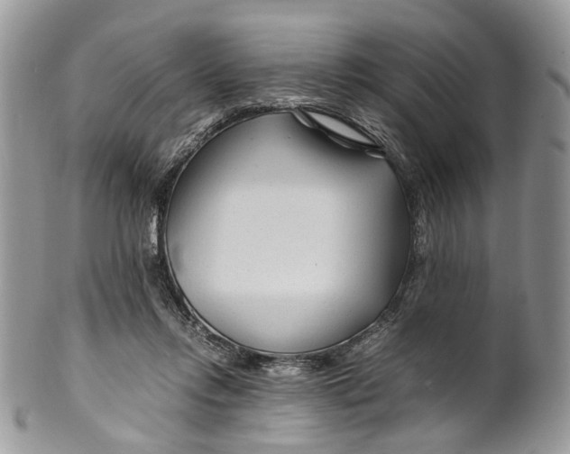 X0000099510358200806051152