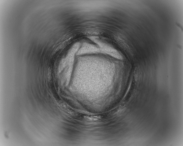 X0000099510359200806051152