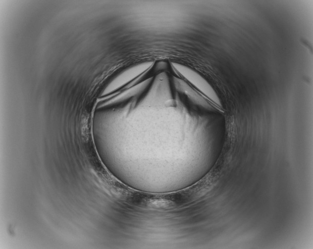 X0000099510360200806051152