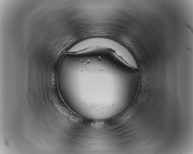 X0000099510362200806051153