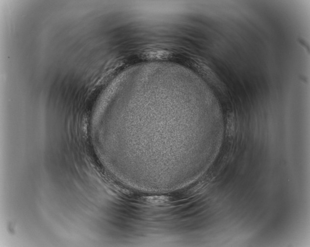 X0000099510363200806051153