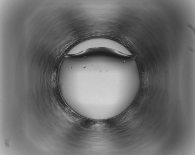 X0000099510364200806051153