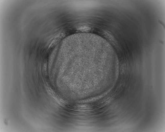 X0000099510365200806051153